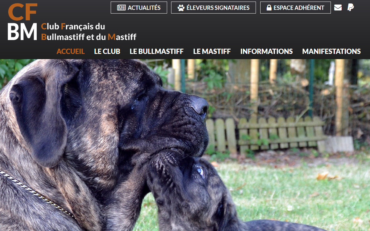 Club Français du Bullmastiff et du Mastiff - Site Officiel